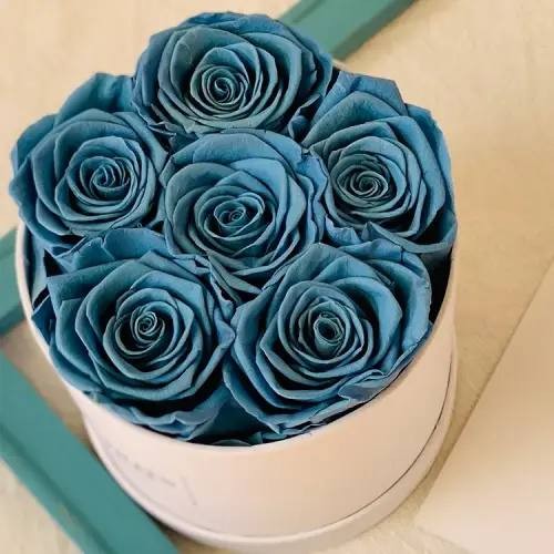 6 forever roses in round box 