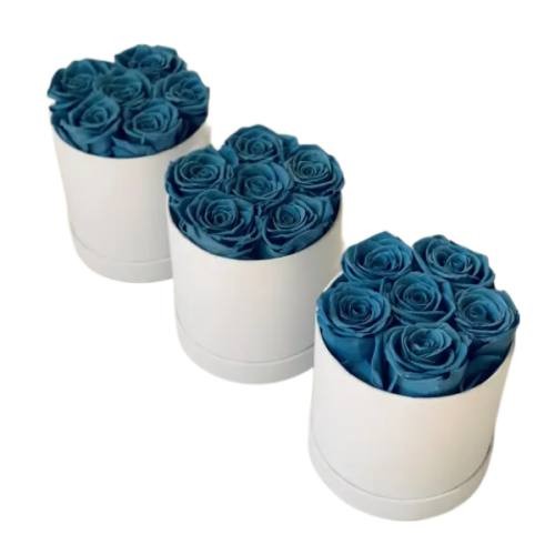 6 roses in round box