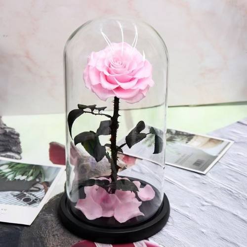 everlasting rose in glass dome