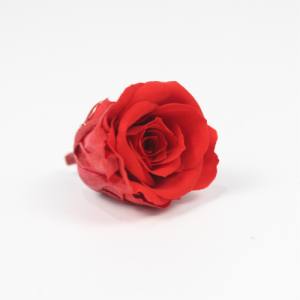 long-lasting preserved rose 