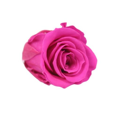 luxury eternity rose 2-3cm