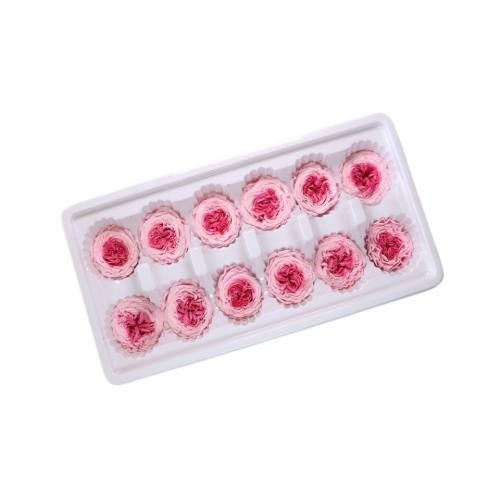 preserved garden rose 3-4cm