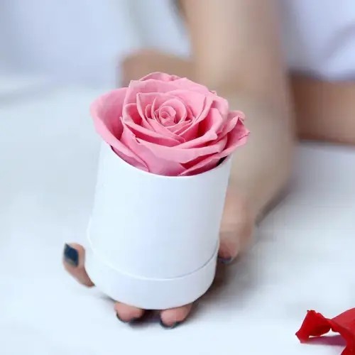 preserved rose with mini box 