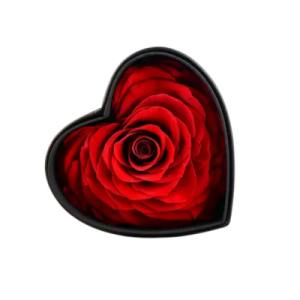 red forever heart shape rose
