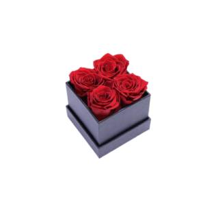 red preserved roses  