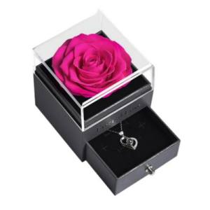 single rose in the acrylic box 